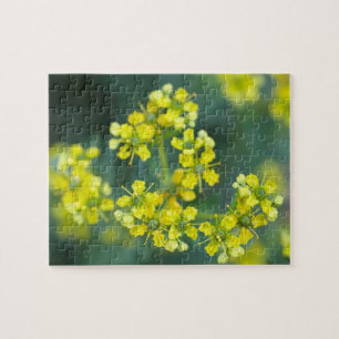Puzzle Fleurs de Moutarde, Puzzle, 8x10 po, 110 pièces