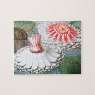 Puzzle Fleurs de nénuphars vintage, nénuphars dans un éta