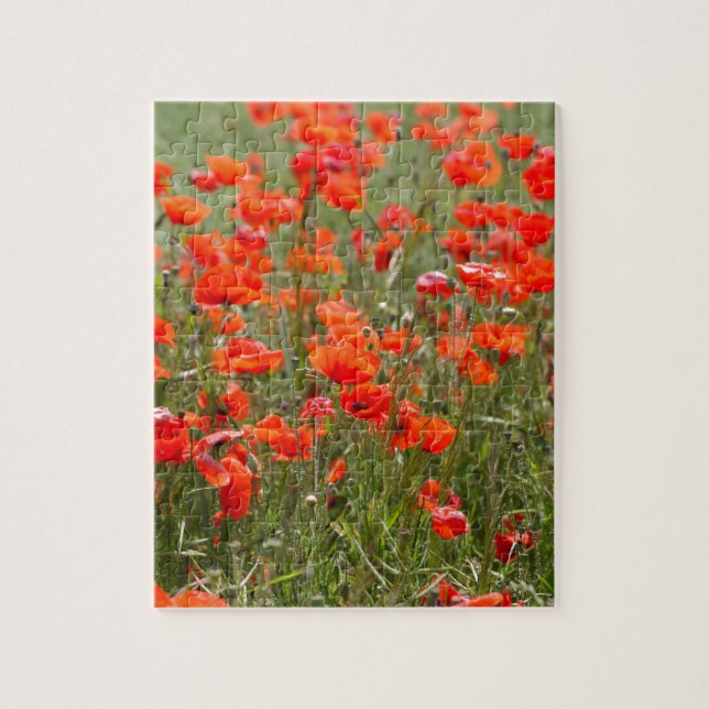 Puzzle Fleurs de pavot commun dans un domaine (Vertical)