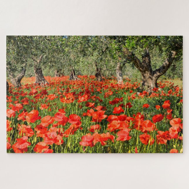 Puzzle Fleurs de pavot rouge sous les vieux oliviers (Horizontal)
