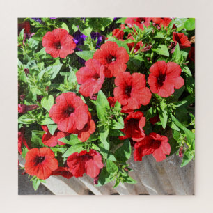 Puzzle Fleurs de pétunia rouge