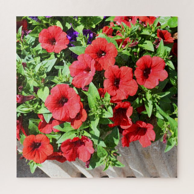 Puzzle Fleurs de pétunia rouge (Vertical)