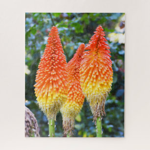 Puzzle Fleurs de poker chaud rouge