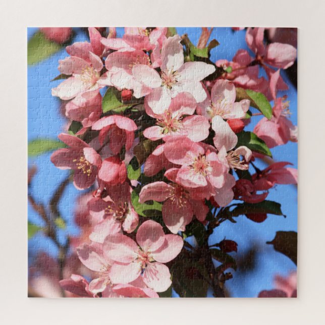 Puzzle Fleurs de printemps roses avec ciel bleu (Vertical)
