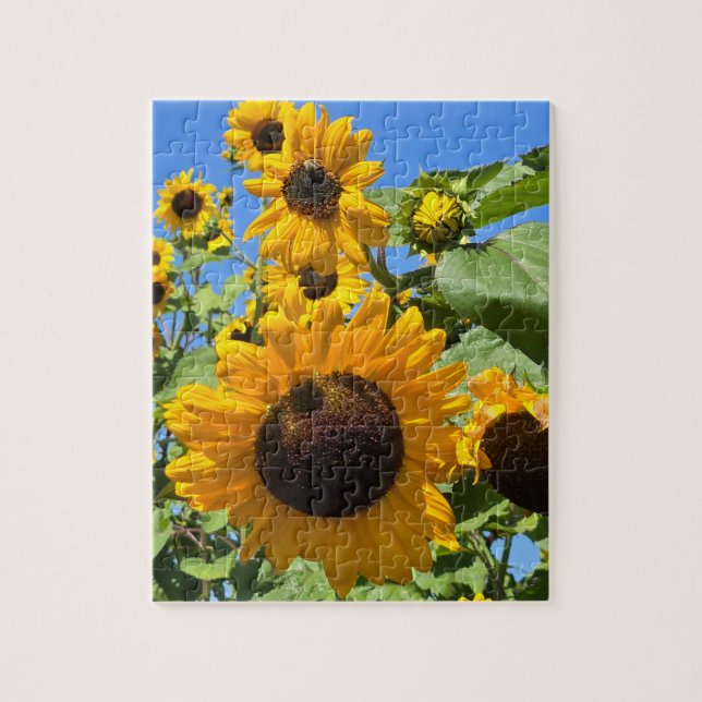 Puzzle Fleurs de soleil (Vertical)