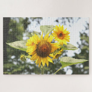 Puzzle Fleurs de tournesol jaunes