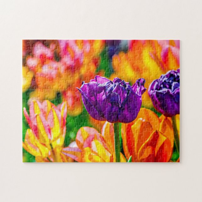 Puzzle Fleurs De Tulipes Merveilleuses Sur Un Flowerbed A (Horizontal)