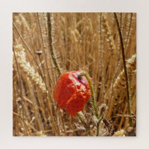 Puzzle Fleurs d'été dans un champ de blé mûr