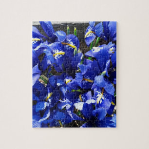 Puzzle Fleurs d'Iris Bleues dans le jardin