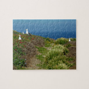 Puzzle Fleurs et mouettes sur l'île Anacapa