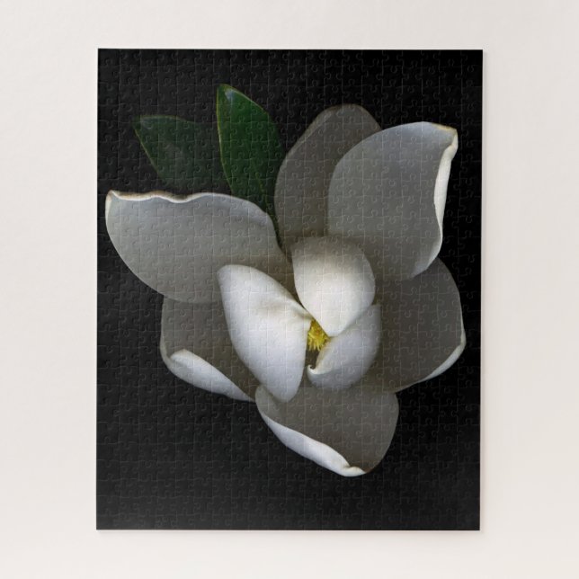 Puzzle Fleurs | Fleur de Magnolia blanc unique (Vertical)