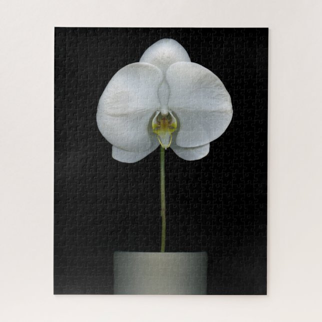 Puzzle Fleurs | Fleur d'orchidées blanches (Vertical)