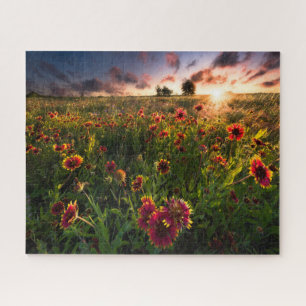 Puzzle Fleurs   Fleur sauvage indien Texas