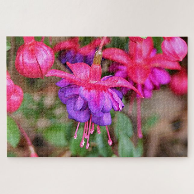 Puzzle Fleurs Fuchsia roses et violettes en fleurs (Horizontal)