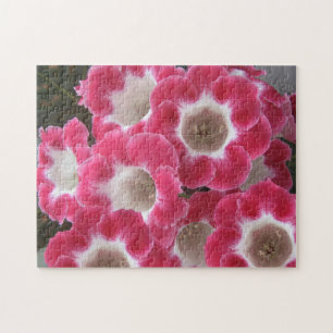 Puzzle Fleurs gloxiniques rouges et blanches.