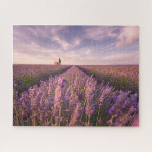 Puzzle Fleurs Lavande Sud France