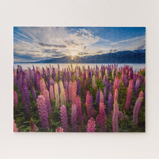 Puzzle Fleurs | Lupines Nouvelle-Zélande (Horizontal)