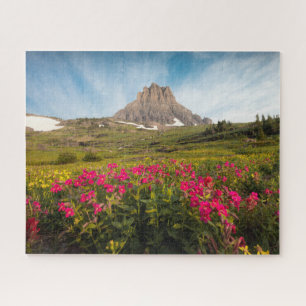 Puzzle Fleurs   Parc national des Glaciers du Montana