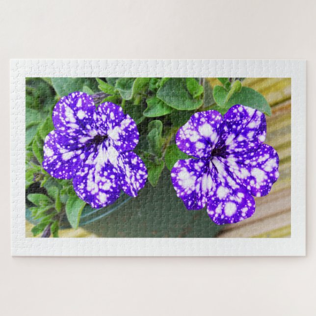 Puzzle Fleurs pétuniennes (Horizontal)