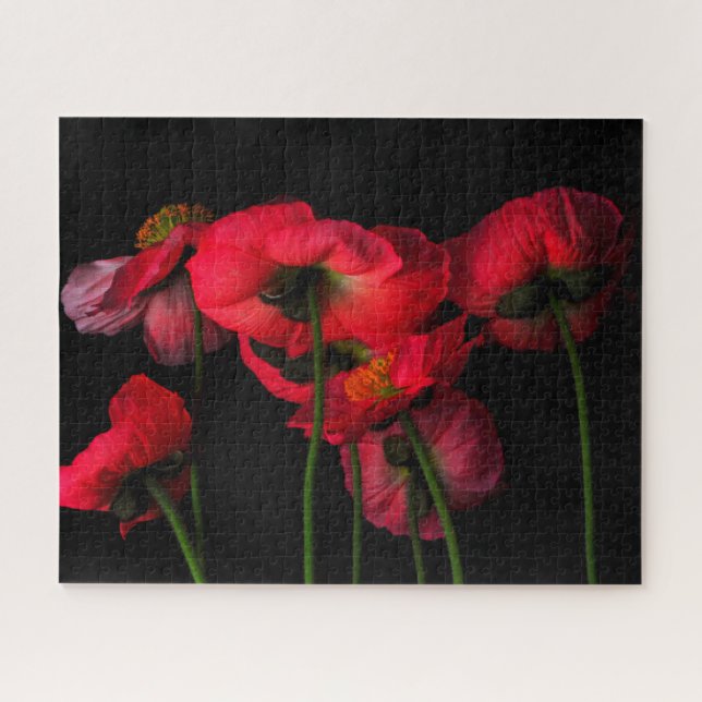 Puzzle Fleurs | Poppies rouges (Horizontal)