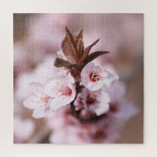 Puzzle Fleurs printanières des fleurs de prunes nuageuses