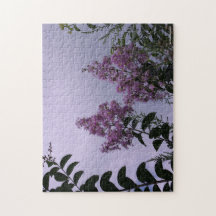 Fleurs roses