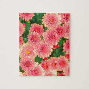 Puzzle Fleurs roses brillantes