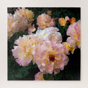 Puzzle Fleurs roses, Roses Jaunes Rose