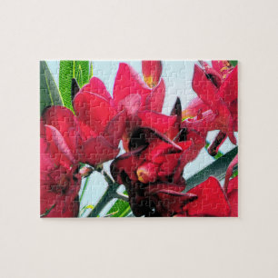 Puzzle Fleurs rouges