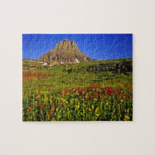Puzzle Fleurs sauvages alpines à Logan Pass dans Glacier