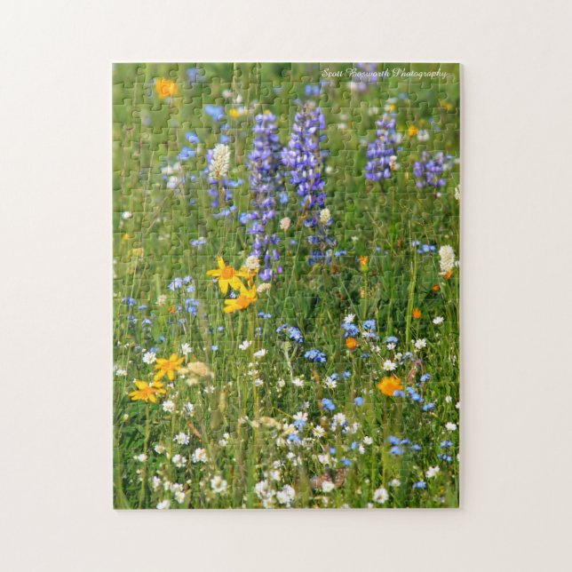 Puzzle Fleurs sauvages de Big Horn Mtn dans WY - Jigsaw P (Vertical)