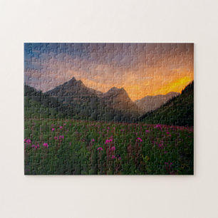 Puzzle Fleurs sauvages de glacier