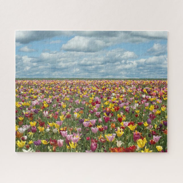 Puzzle Fleurs | Tulips Willamette Valley Oregon (Horizontal)