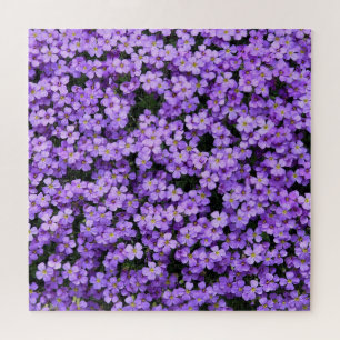 Puzzle Fleurs - Violets