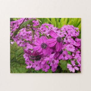 Puzzle Fleurs violettes de San Francisco