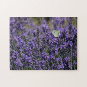 Puzzle Fleurs violettes Lavande Champ Avec Papillon