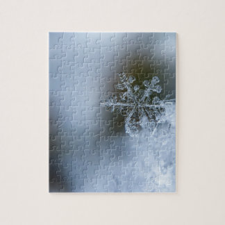 Puzzle Flocon de neige d'hiver