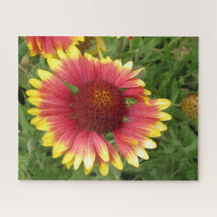 Puzzle - Floraison indienne