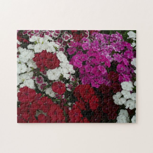 Puzzle Floral Dianthus blanc, rose et rouge (Horizontal)