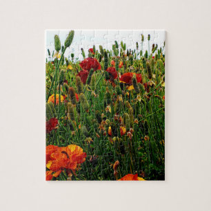 Puzzle floral : Les gisements de fleur, Carlsbad,