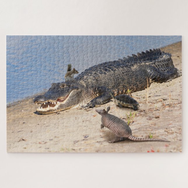 Puzzle Floride Alligator avec animaux. Buffet Alligator (Horizontal)