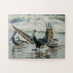 Puzzle Floride Pelicans Birds Nature Plage surdimensionné