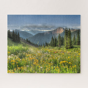 Puzzle Flowers (homonymie)   Wildflowers Silverton Colora