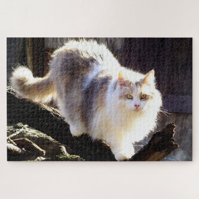 Puzzle Fluffin Dilute Calico Maine Cat à coon (Horizontal)