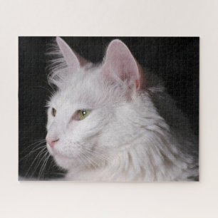 Puzzle Fluffy Blanc Maine Coon Cat