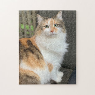 Puzzle Fluffy Calico Kitty Cat