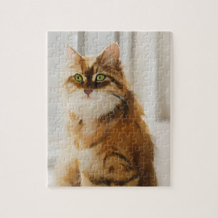 Puzzle Fluffy Ginger Cat dans la fenêtre
