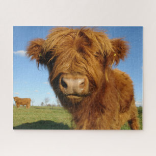 Puzzle Fluffy Scottish Highland Cow