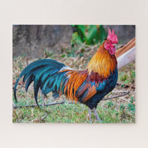 Puzzle Foie rousse