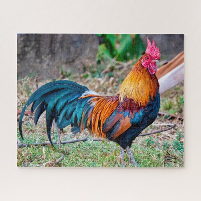 Puzzle Foie rousse (Horizontal)